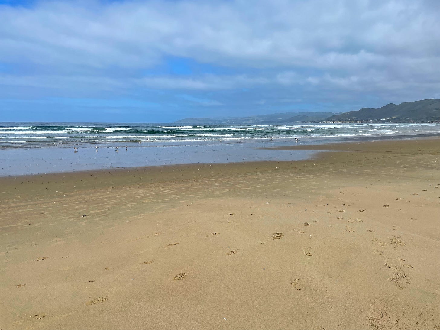 Pismo Beach State Park, CA