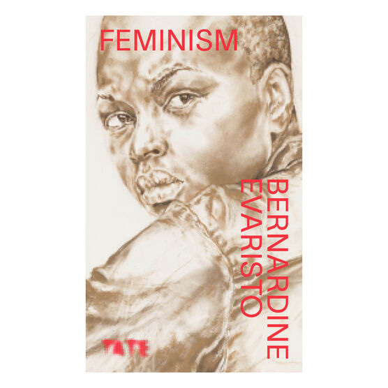 Bernardine Evaristo's book Look Again - Feminism