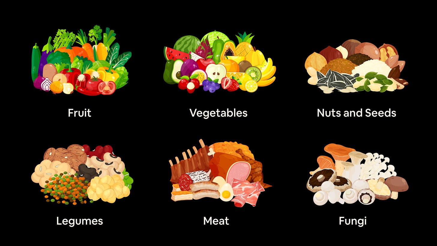 An arrange of different food icons for different food categories