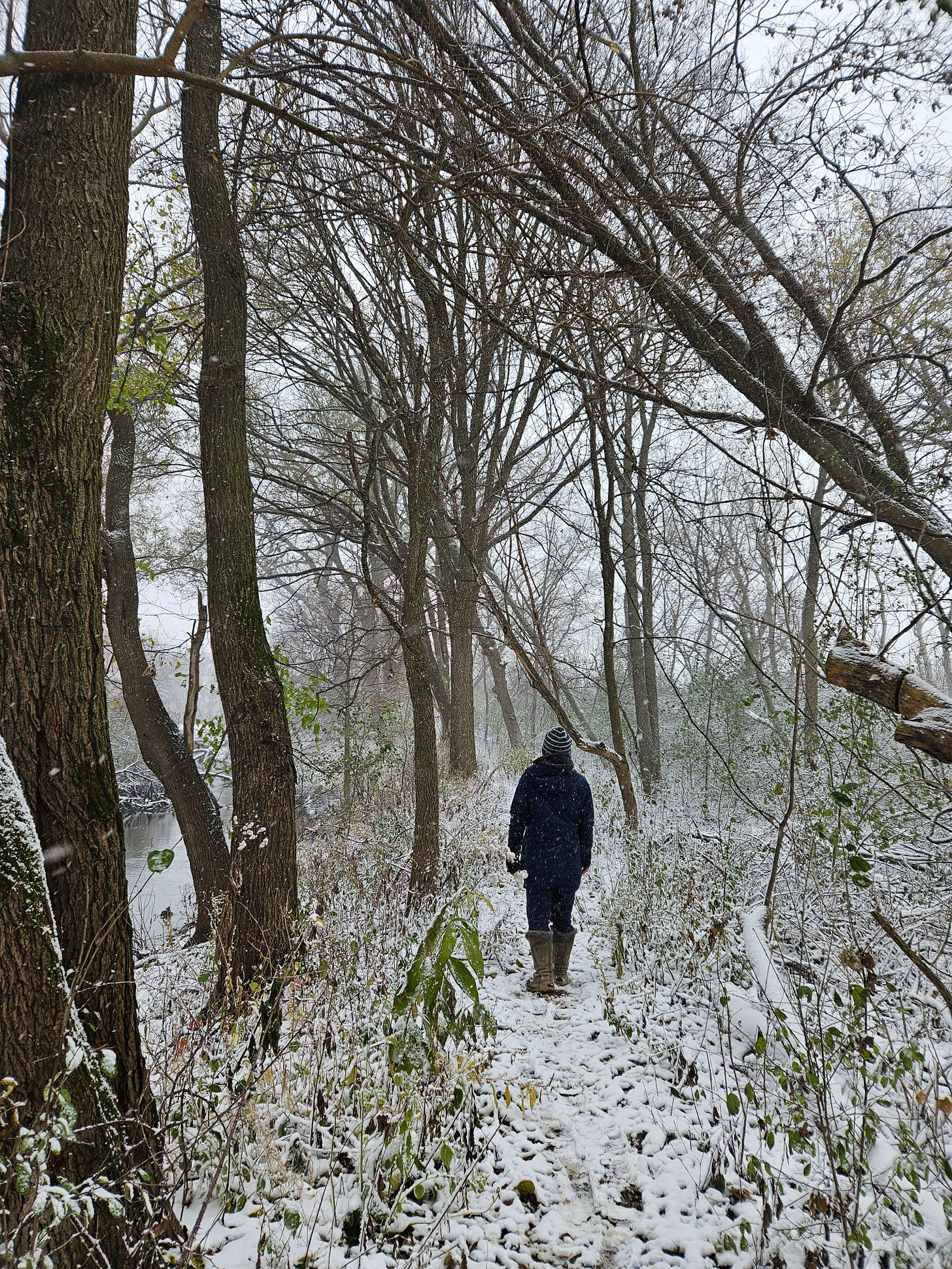 A snowy woods borders a snow-covered trail, where a person walks with their back to the camera. They are dressed in a blue winter jacket, hat, boots, etc. The dark waters of a narrow creek run along the left side of the trail. Snow is visible falling in in the air all around.