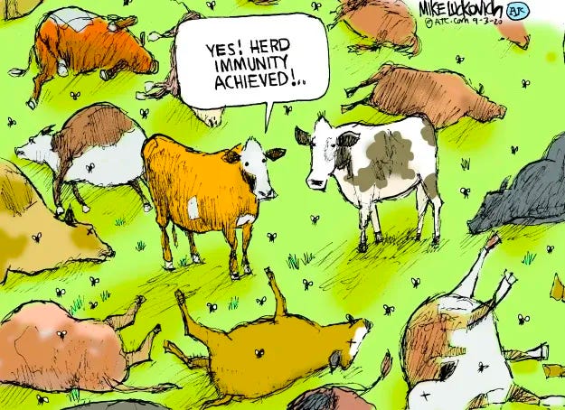Mike Luckovich cartoon 9-30-20 the drawing is that of a field with 2 live cows standing in the center and they’re surrounded by many dead cows laying about the grass with flies swarming around the carcasses. One live cow says to the other in a speech bubble, Yes! Herd Immunity Achieved!