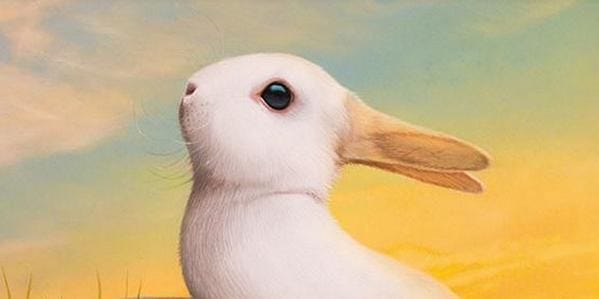 duck/rabbit illusion | Illusions, Optical illusions, Rabbit