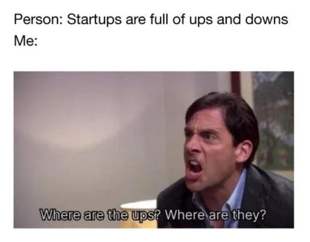 r/meme - Person: Startups are full of ups and downs Me: Where are the ups? Where are they?