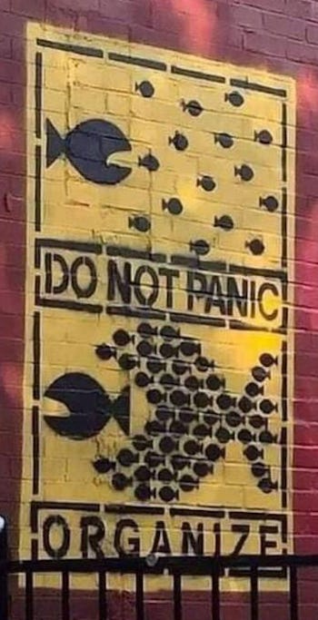 Photograph of a yellow and black stencil graffiti on a brick wall which reads "DO NOT PANIC, ORGANIZE". It shows small fish working together to eat a larger fish.