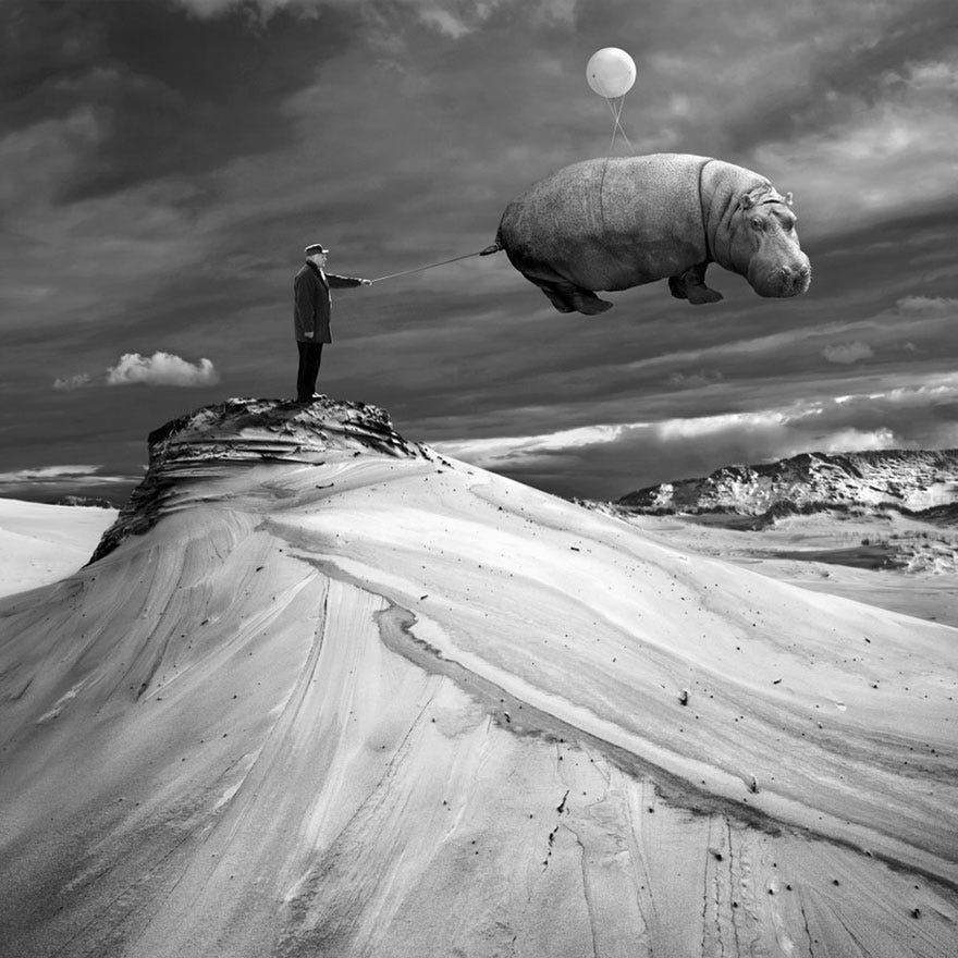 surreal-photo-manipulation-dariusz-klimczak-22