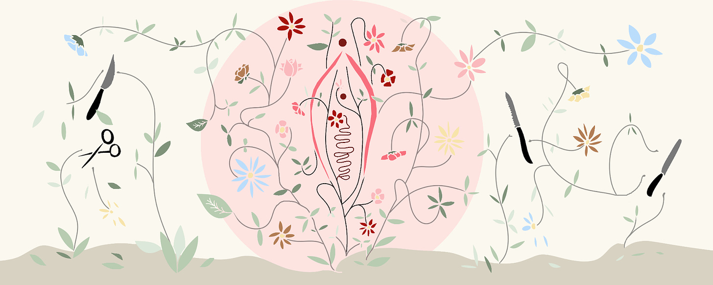 ilustración sobre la salud menstrual en la que aparecen muchas plantas y flores formando la silueta de una vagina