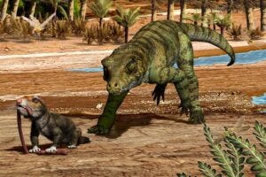 About 215 million years ago in what is now northwestern Argentina, the land-dwelling crocodylomorph Hemiprotosuchus leali was poised to devour Chaliminia musteloides, an early relative of mammals.