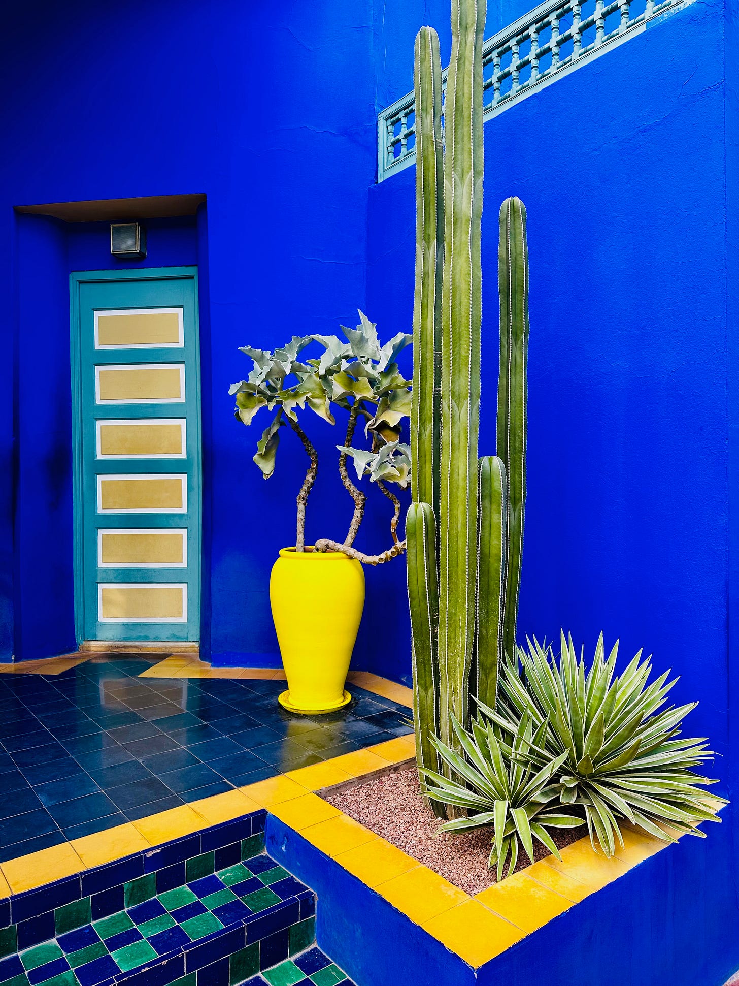 Jardin Majorelle, Marrakesh, Morocco 