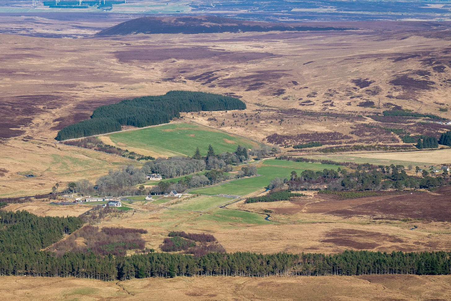 Braemore from Maiden Pap © Felicity Martin