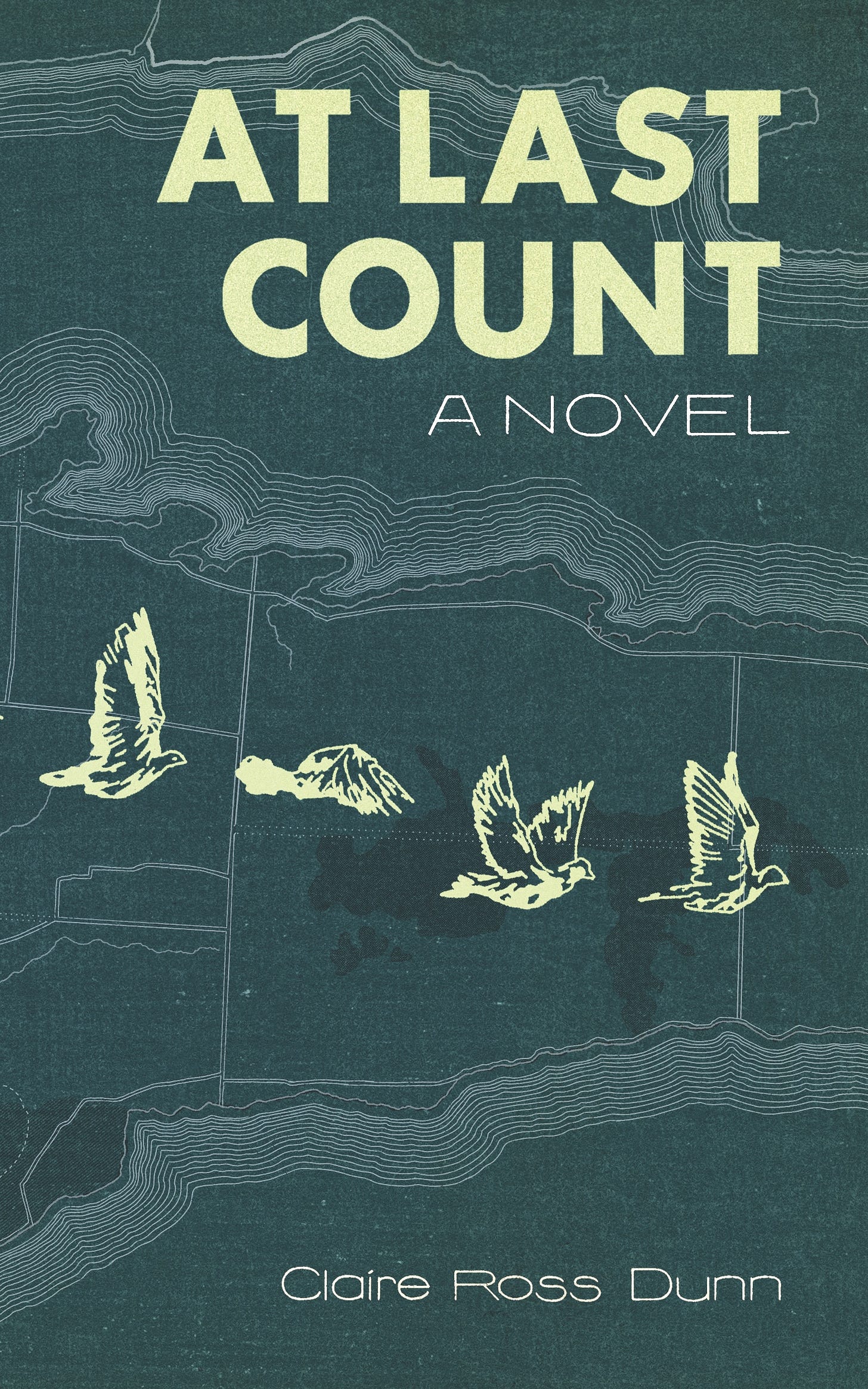 Book Cover At Last Count