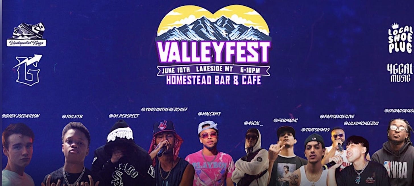 Valley Fest poster