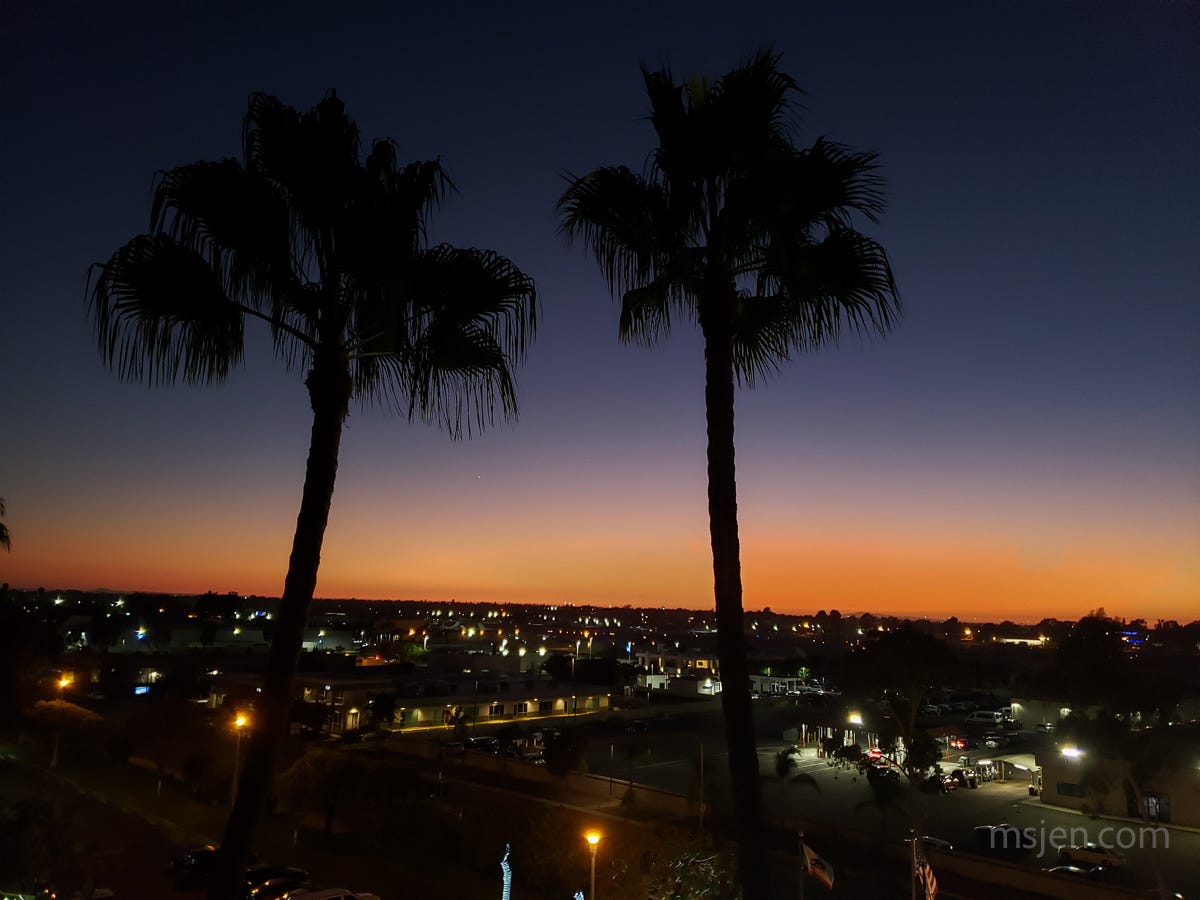 Late twilight with two dark palm trees in the foreground, a lit cityscape in the middle ground, then a dark orange horizon melding into a dark blue dusk sky with the Evening Star Venus framed between the palm trees.