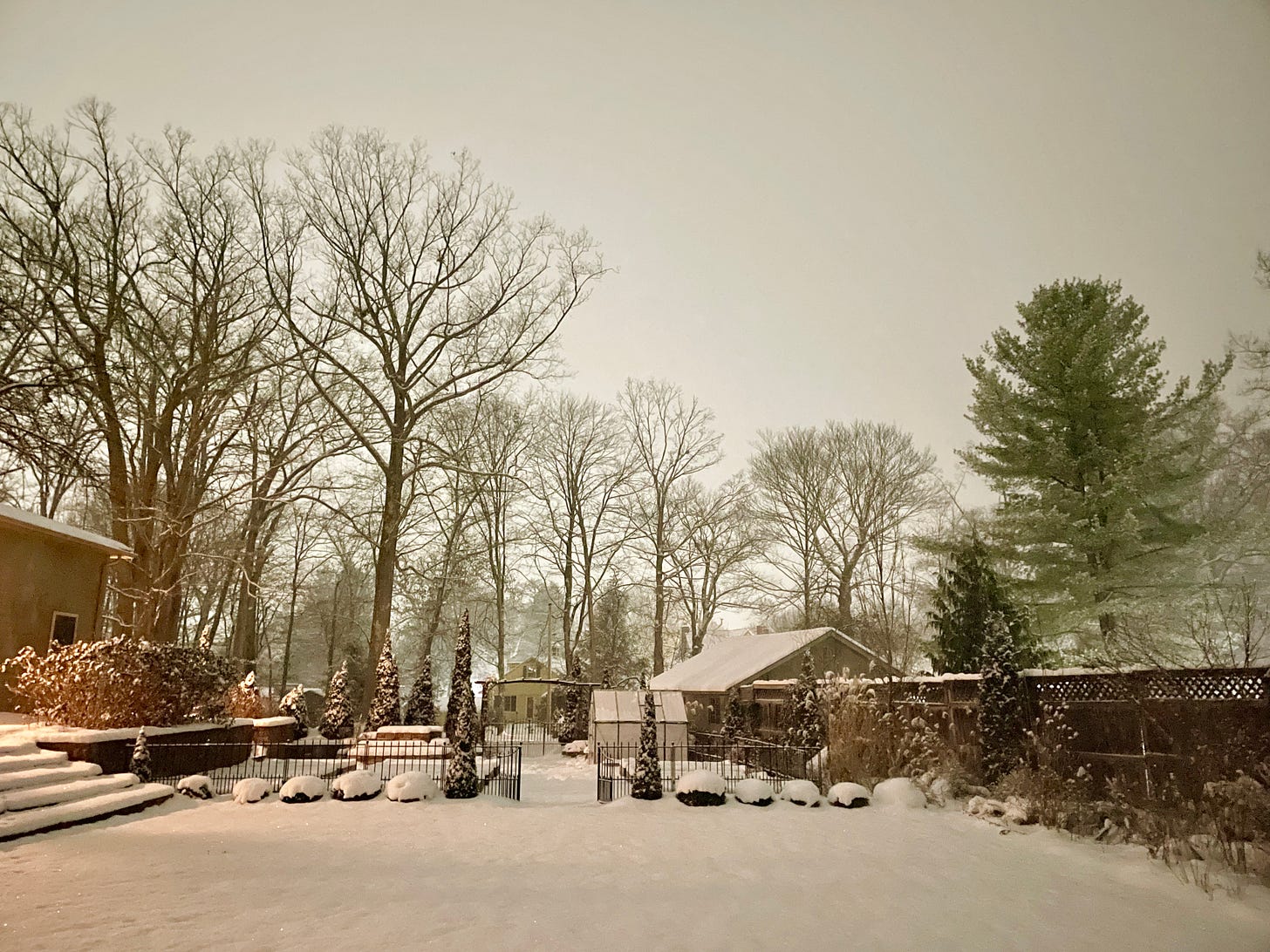 The Kitchen Garden in January.