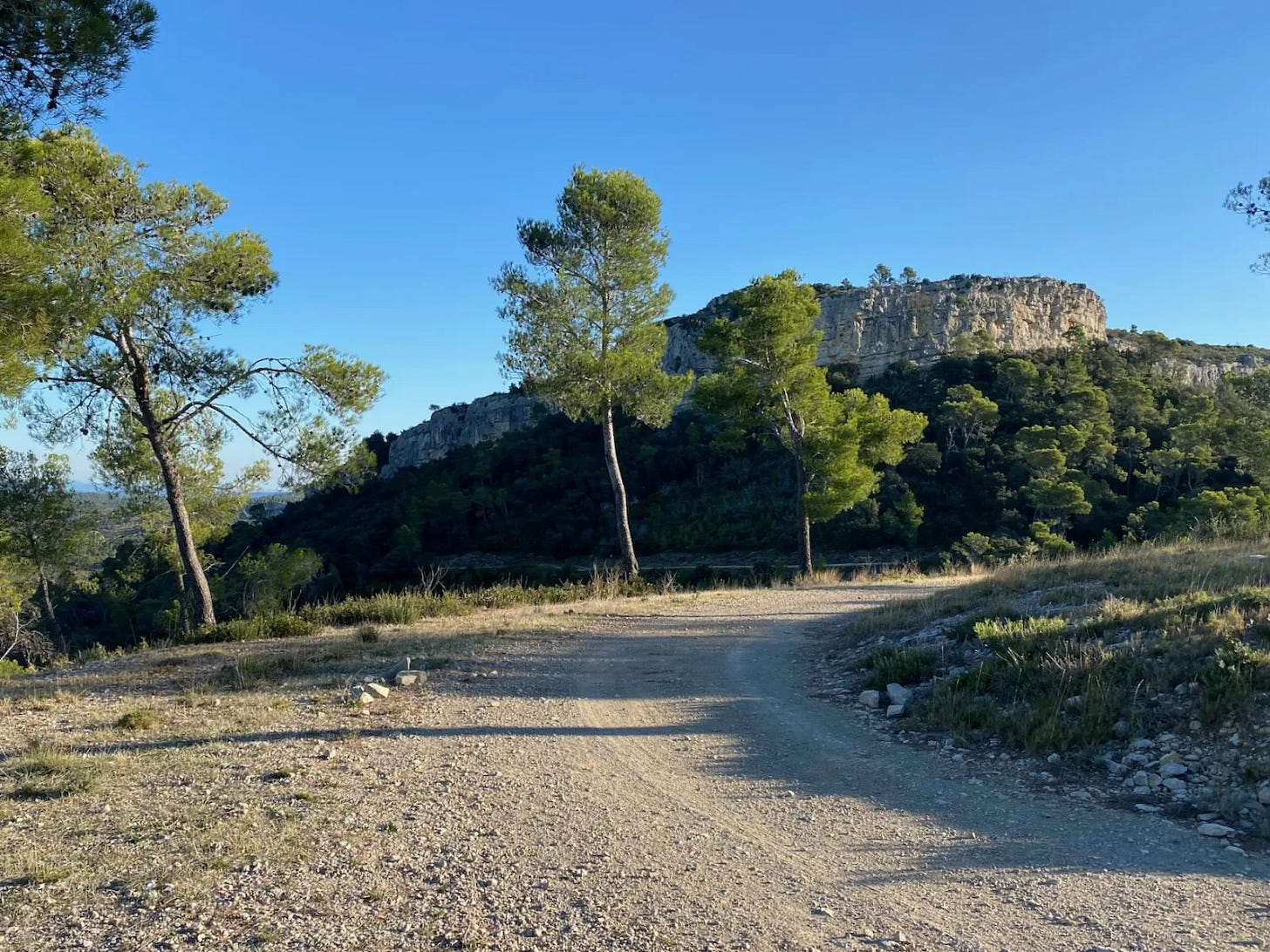 Dans les garrigues Dans les garrigues
