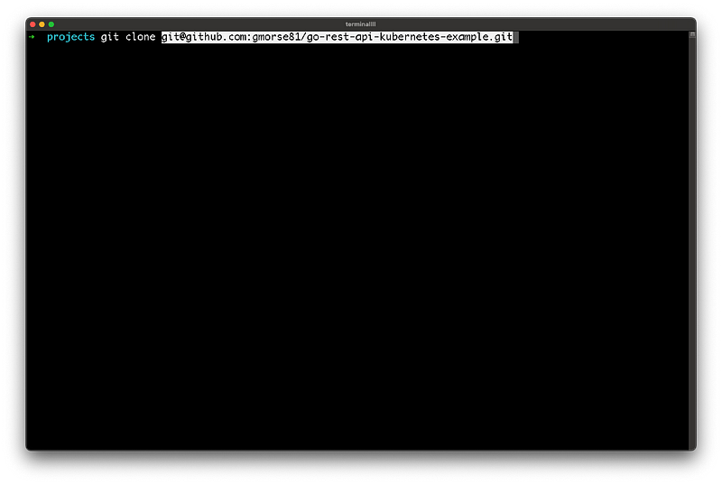 cloning the forked repo in the terminal