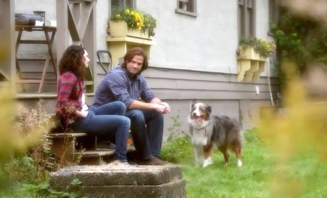 supernatural sam and amelia richardson dog