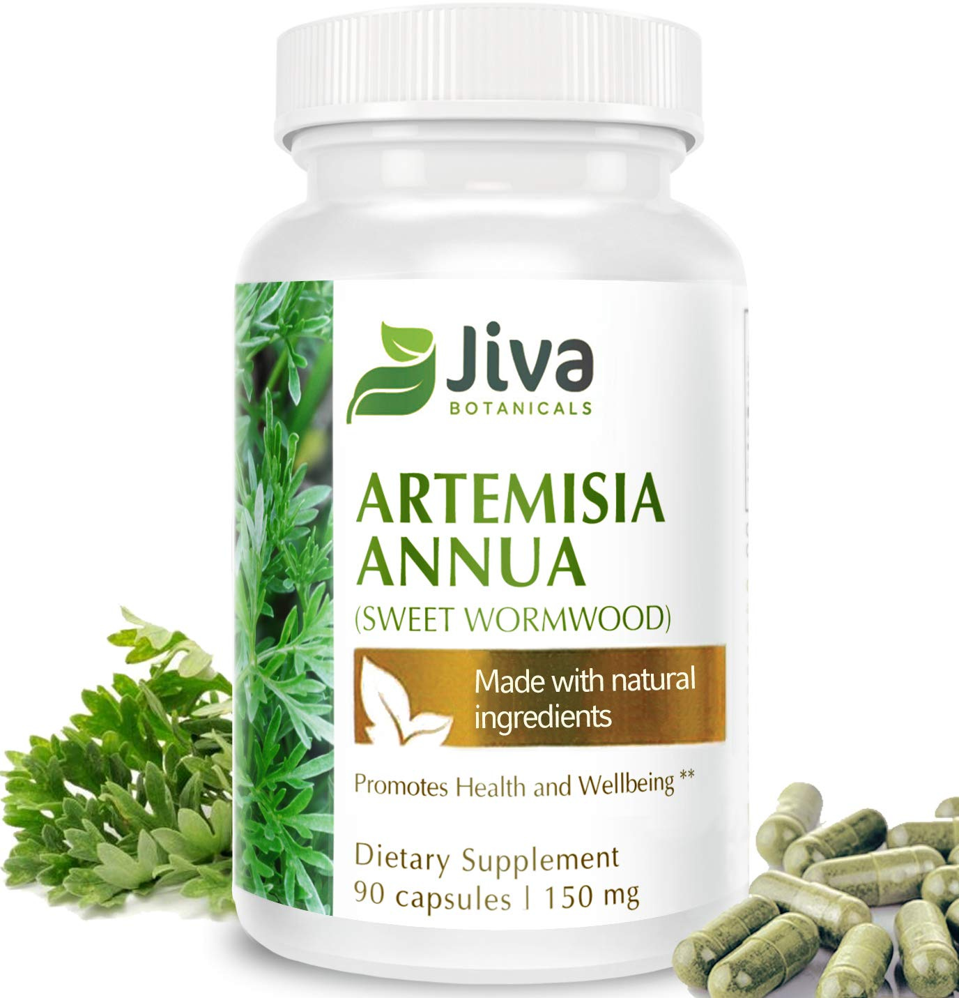 Sweet Wormwood Capsules 150 mg per Capsule - Artemisia Annua Extract ...
