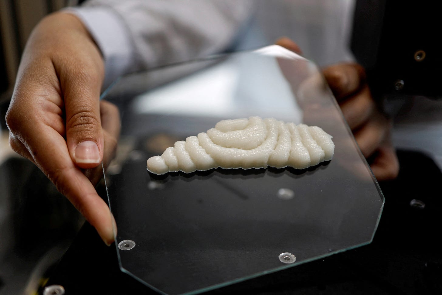 Dished up by 3D printers, a new kind of fish to fry | Reuters