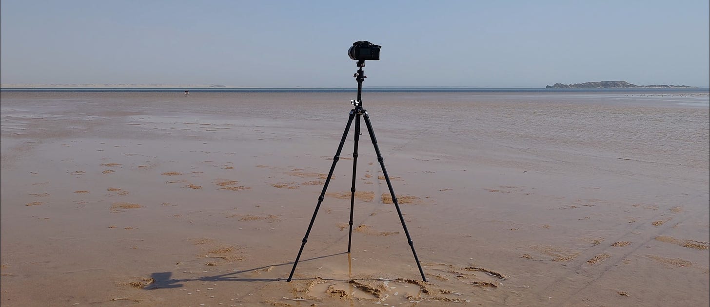 black camera tripod set up in the mud of a tidal flat