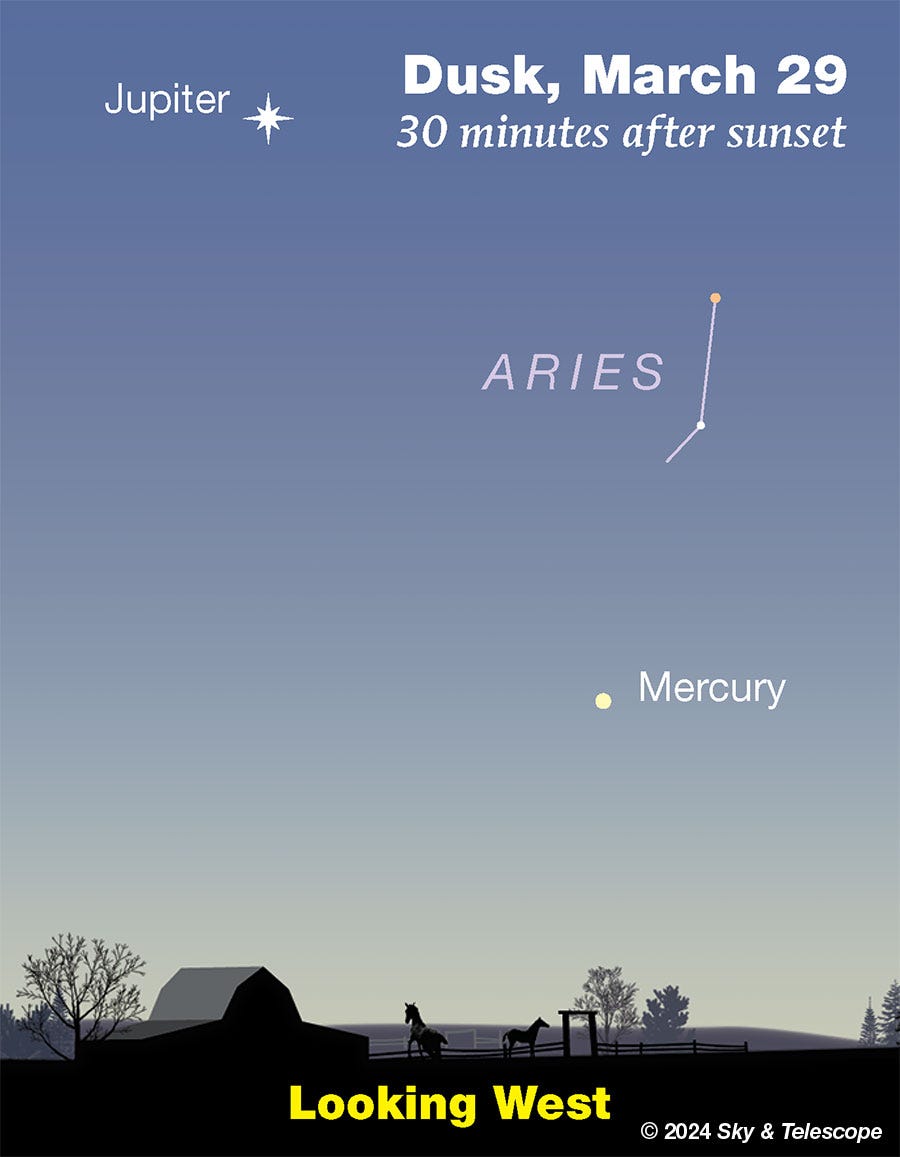 Jupiter and fading Mercury at dusk, end of March 2024