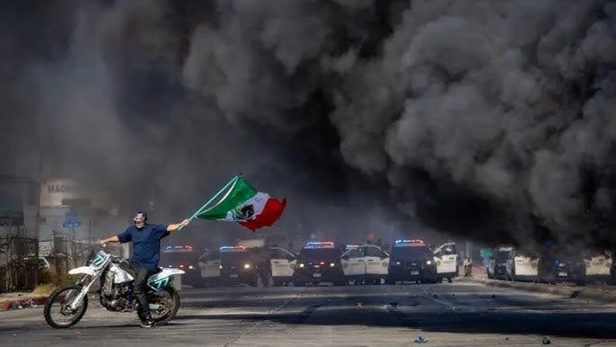 ‘Height of absurdity’: Protestor photographed waving Mexican flag during LA  riots