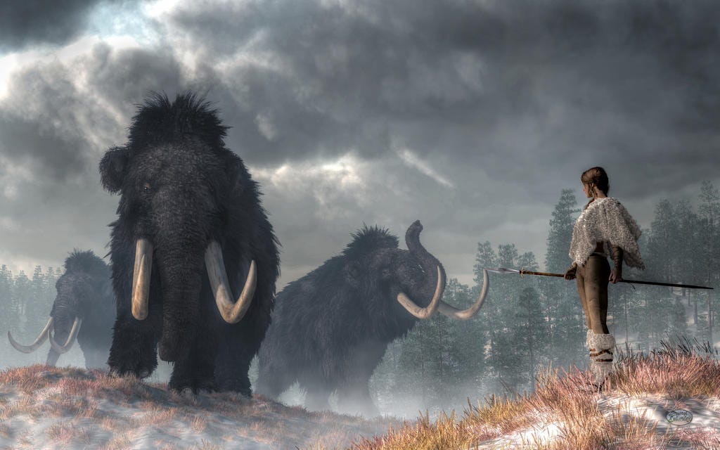 Did humans wipe out the woolly mammoths to use their bones for fuel ...