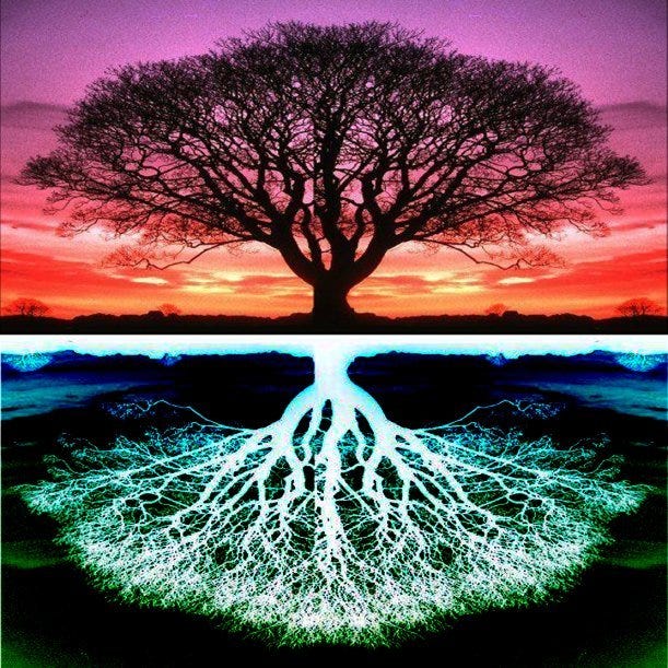 Tree of Life Mirror Image