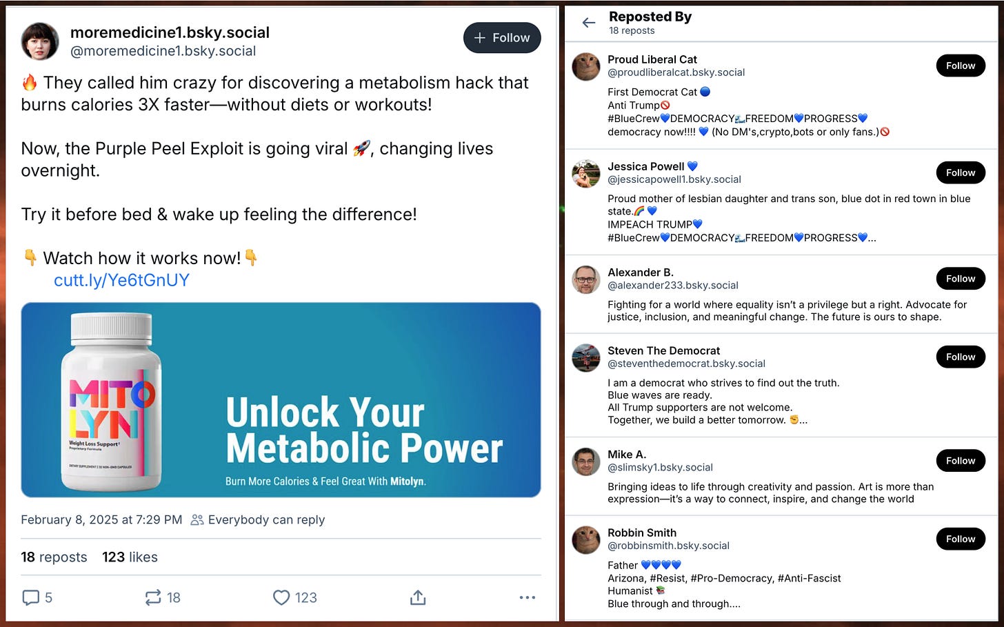 screenshot of moremedicine1.bsky.social post promoting supplements and linking to mitolyn dot com, and screenshot of several of the accounts that reposted it