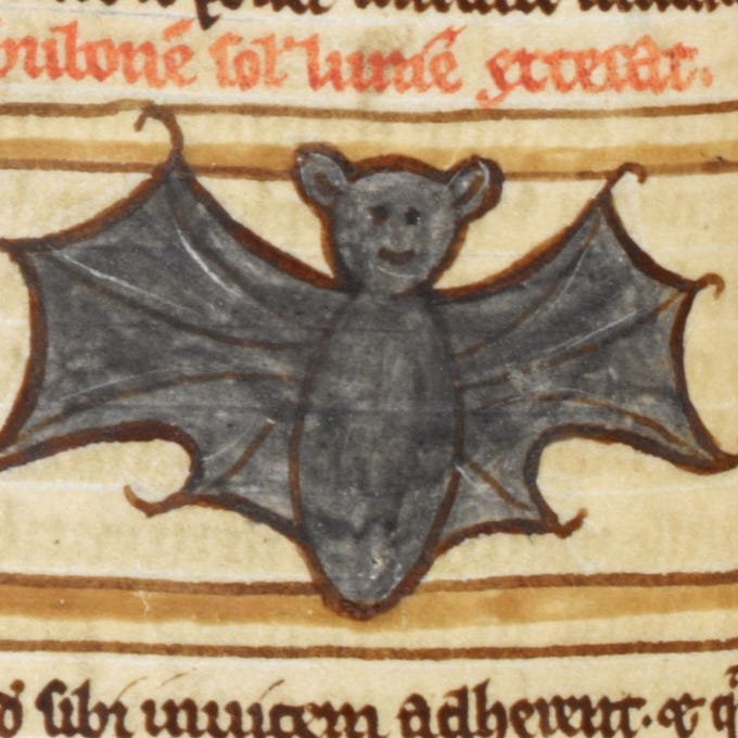 um print da famigerada ilustração do morcego medieval. está desenhado com tinta em cima de uma folha meio amarelada, com texto acima e abaixo. ele tem um contorno em preto/marrom escuro, com duas asinhas grandes, um corpo que é só uma elipse, sem perninhas. o foco mais fofo é que o rosto dele parece o de um ursinho, rosto redondo, duas orelhas também redondinhas e a expressão é feita apenas com 3 traços, um sorriso, e dois olhos. parece um emoji de sorriso mesmo.