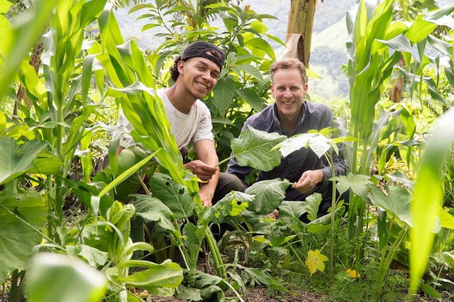 Ecofarm volunteering in Brazil
