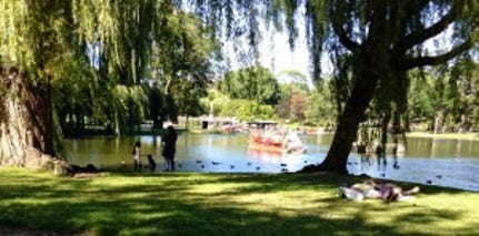 A group of people standing in a pond Description automatically generated