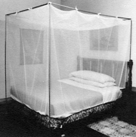 IAMAT | How to choose a good mosquito net