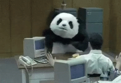 a gif of a panda destroying office equipment