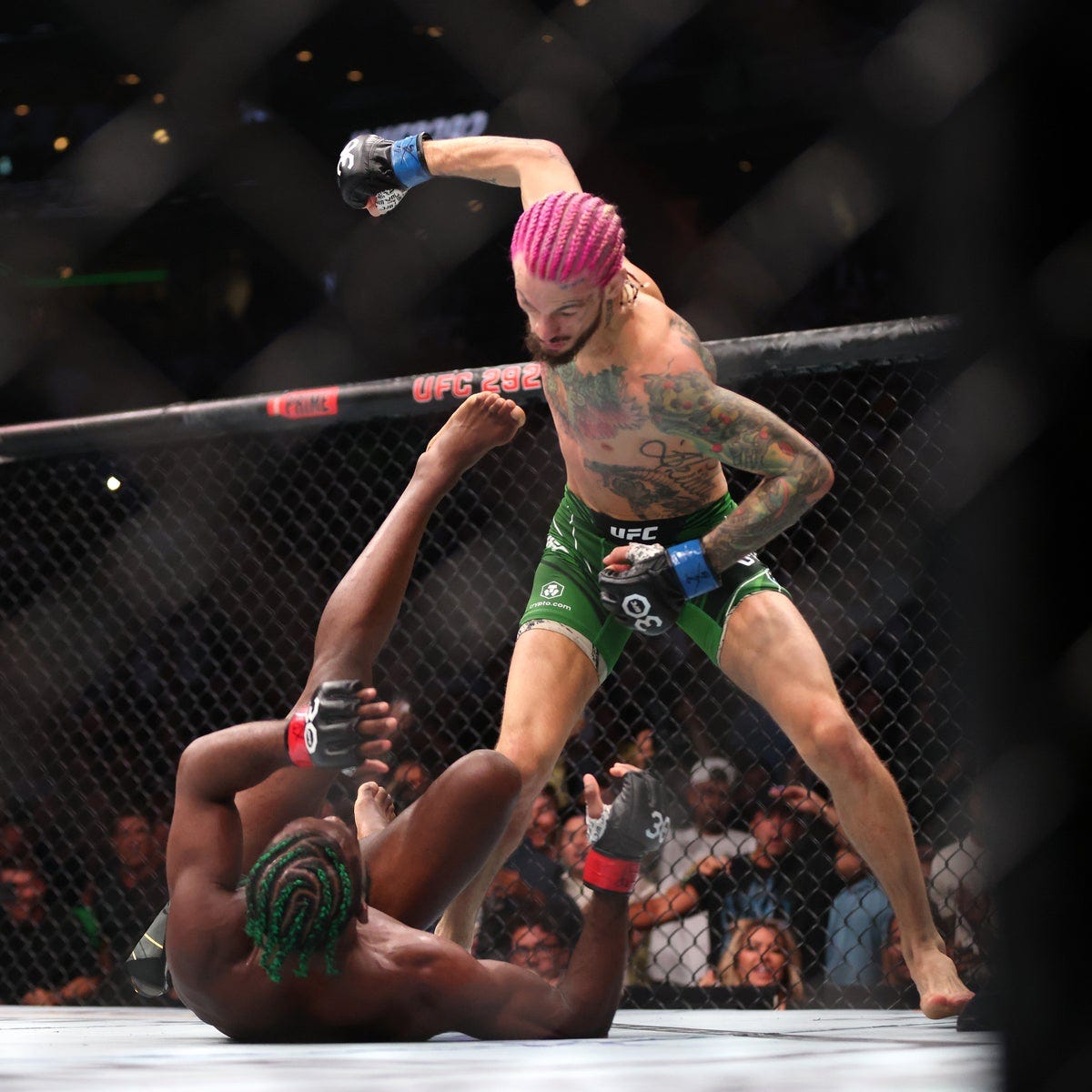 UFC 292: Sean O'Malley becomes newest superstar with dazzling KO of  Aljamain Sterling | The Independent