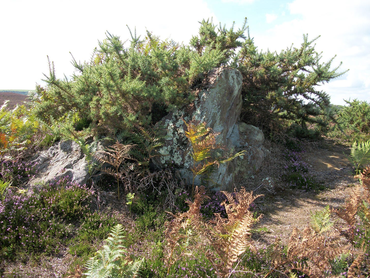 File:Puckstone - geograph.org.uk - 2075682.jpg - Wikimedia Commons