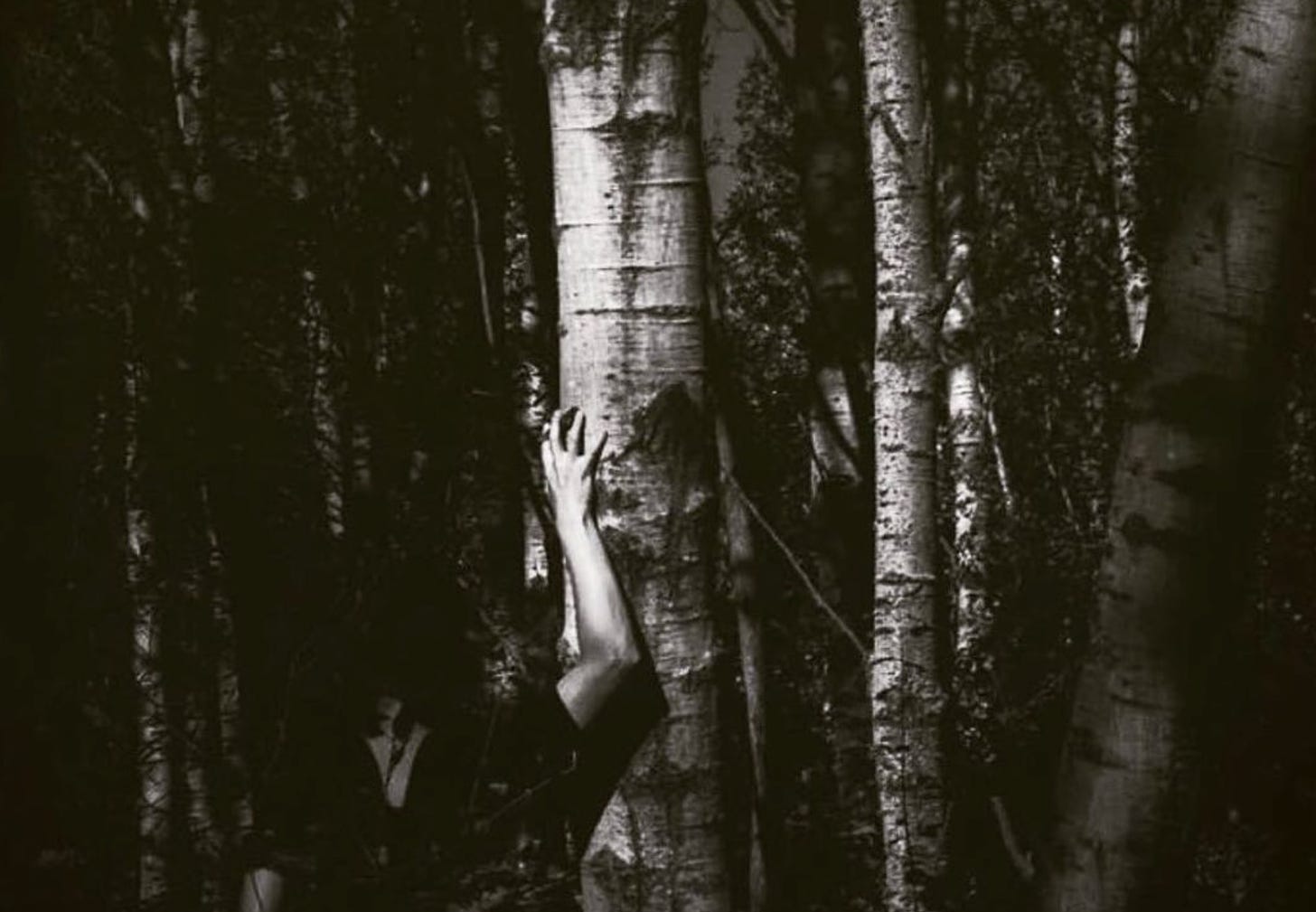 Woman standing behind a birth tree with one arm holding the trunk 