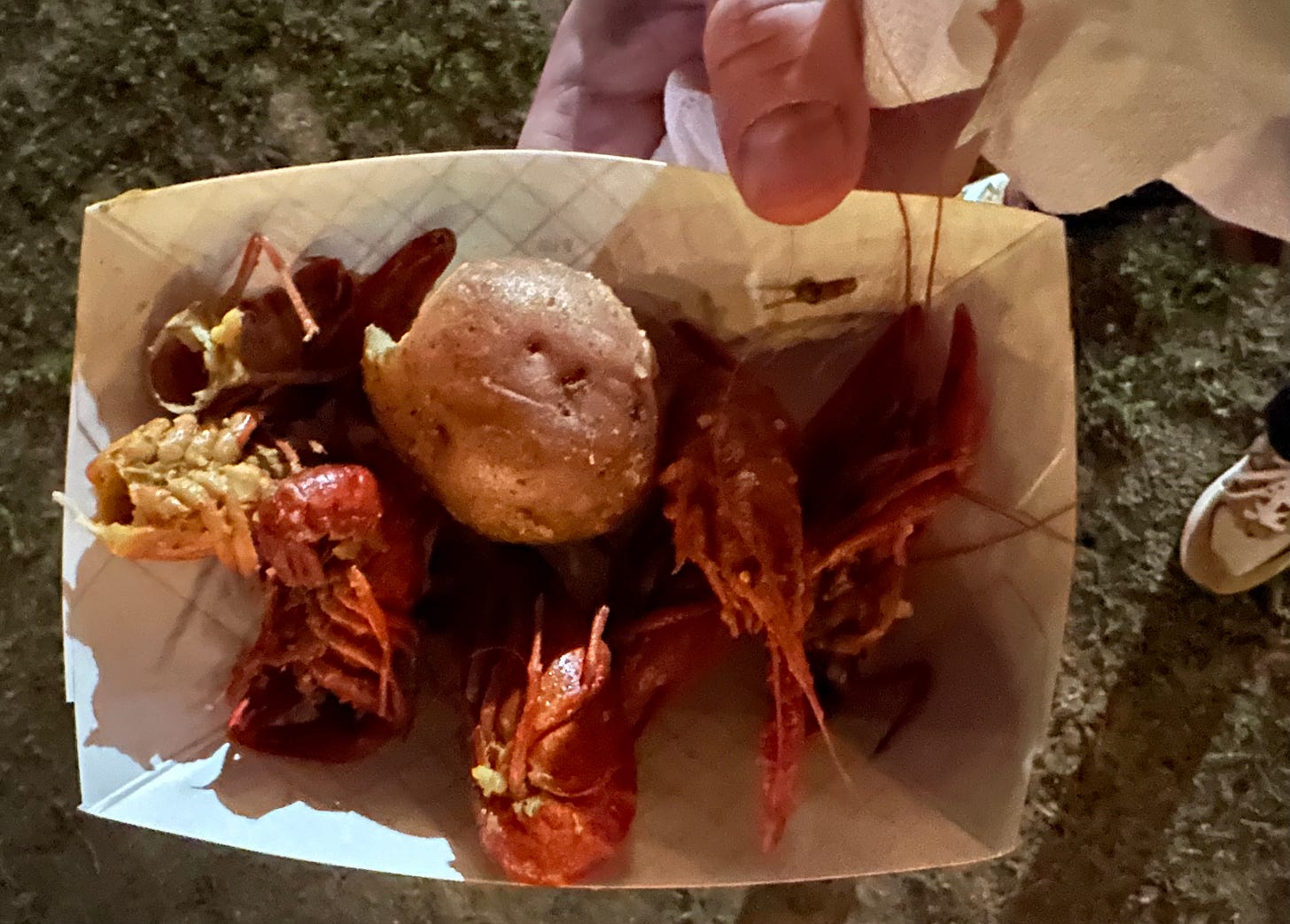 A cardboard tray with the husks of some crawfish and a potato in it, photographed from above at night.