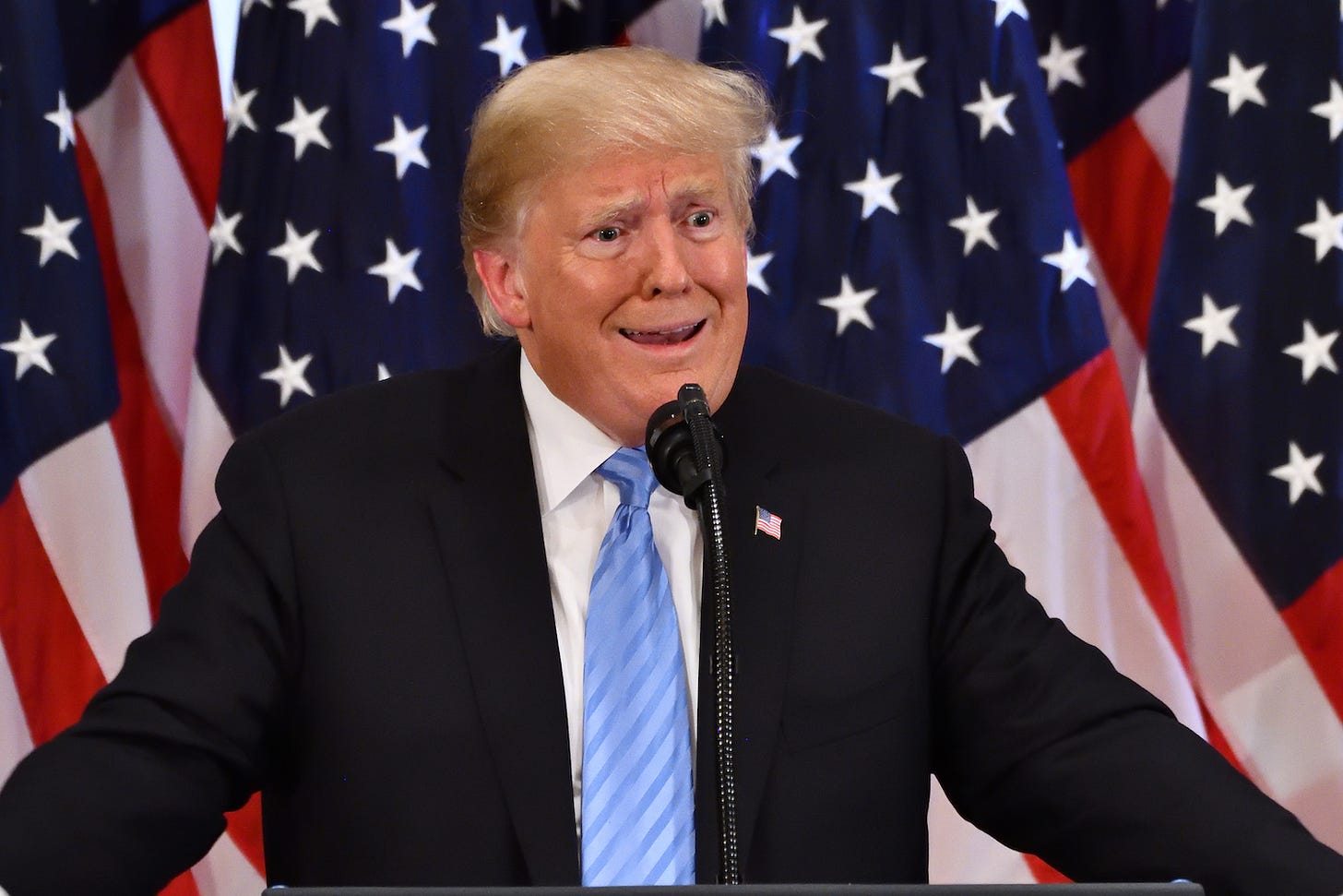 Image: Donald Trump; Evan El-Amin / shutterstock.com