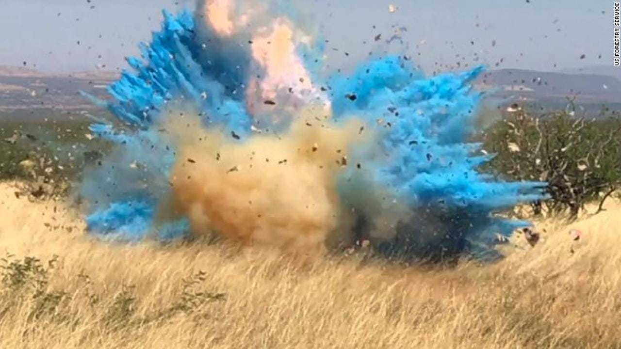 Gender reveal causes fire