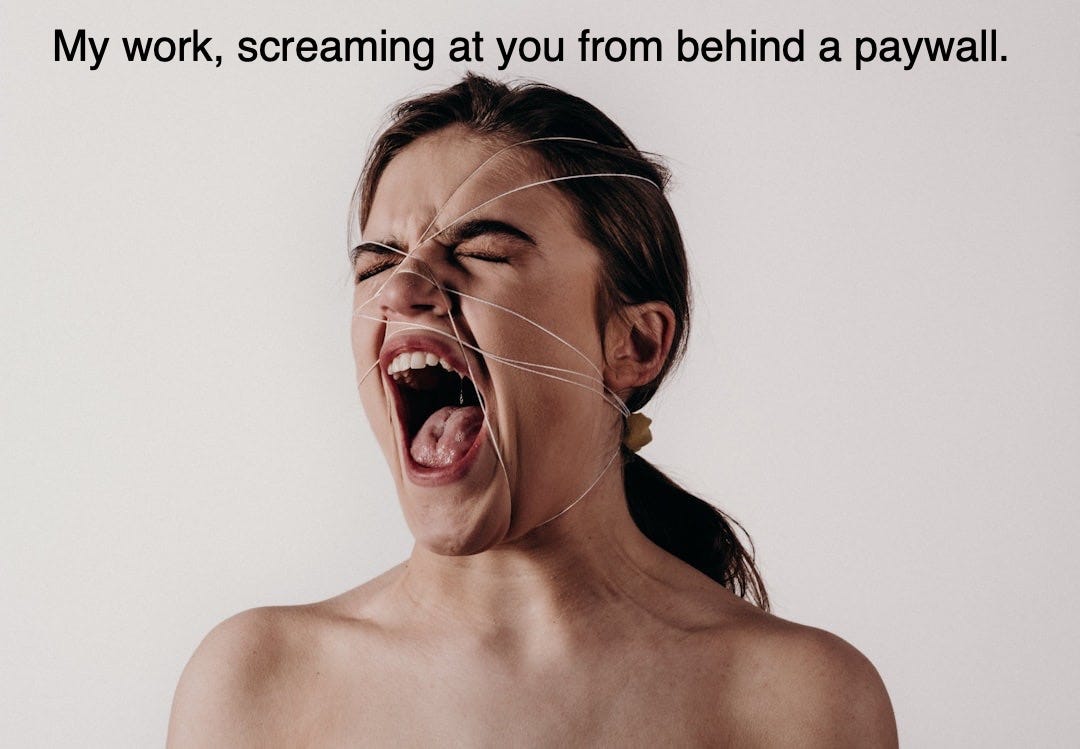 woman's face photograph woman's face photograph