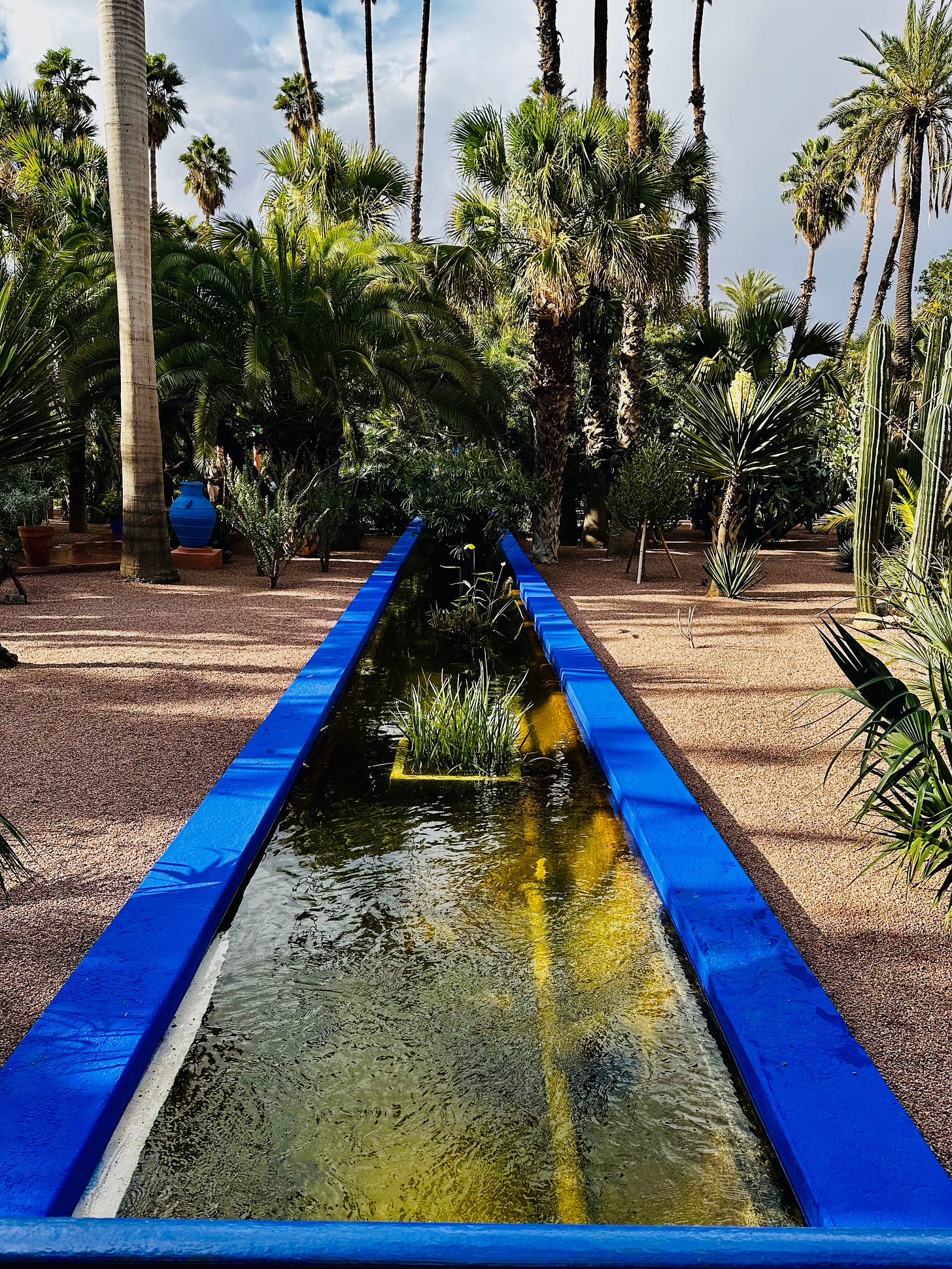 Jardin Majorelle, Marrakesh, Morocco 