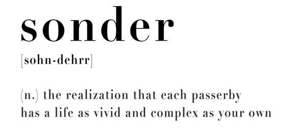 Sonder Definition - Sonder Art Print - Definition Art Print - Digital Wall  Art - Library Decorations - Gift for Bookworm - Book Lover Poster