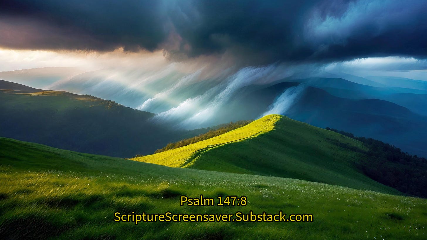 His Attention To Detail - Scripture Screensaver