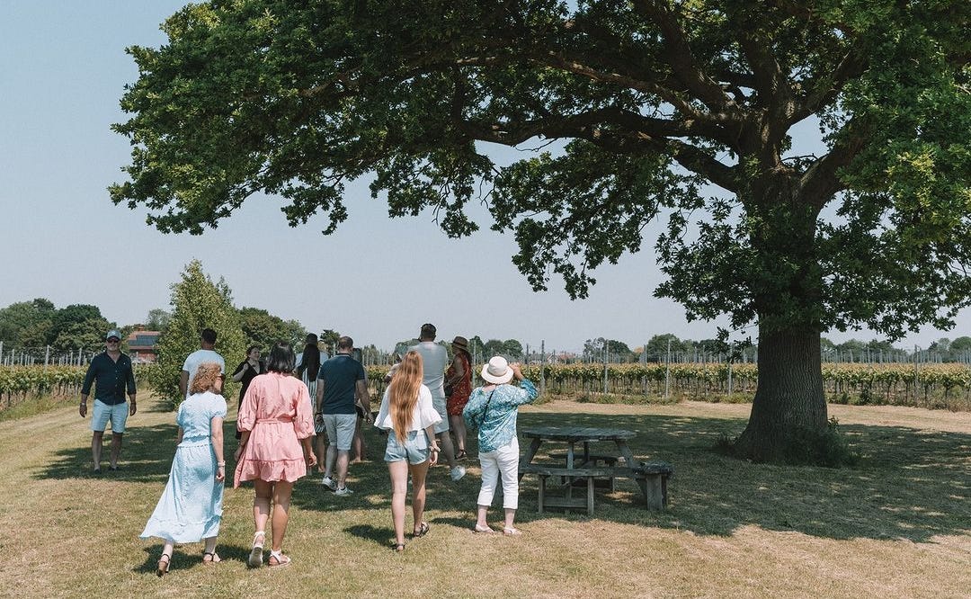 Under the ancient oak at Burnt House Vineyard