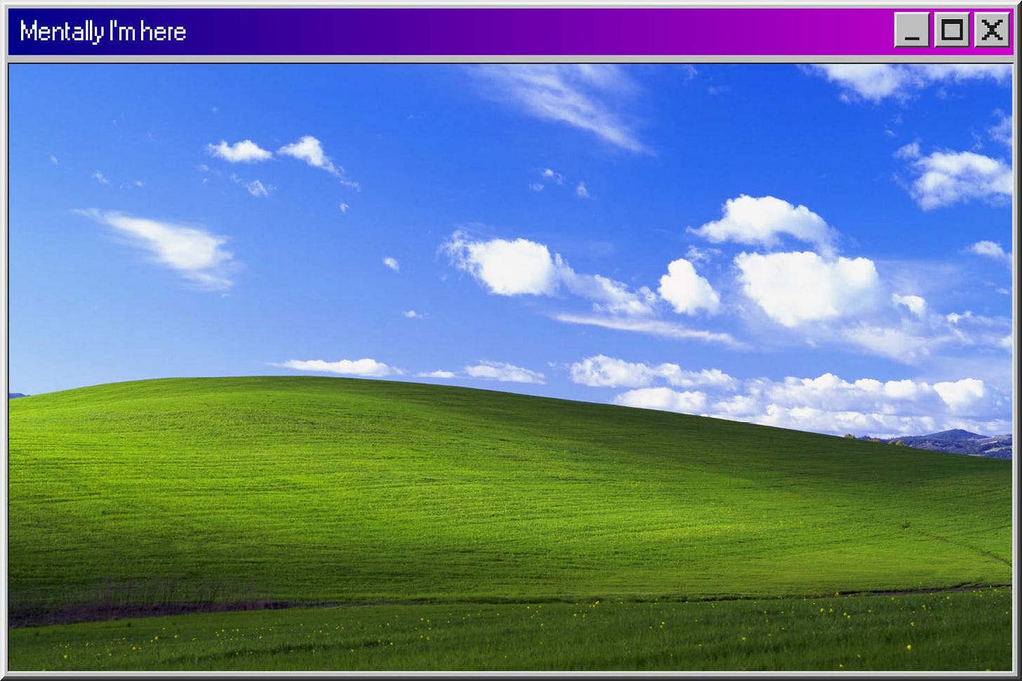 Microsoft Bliss