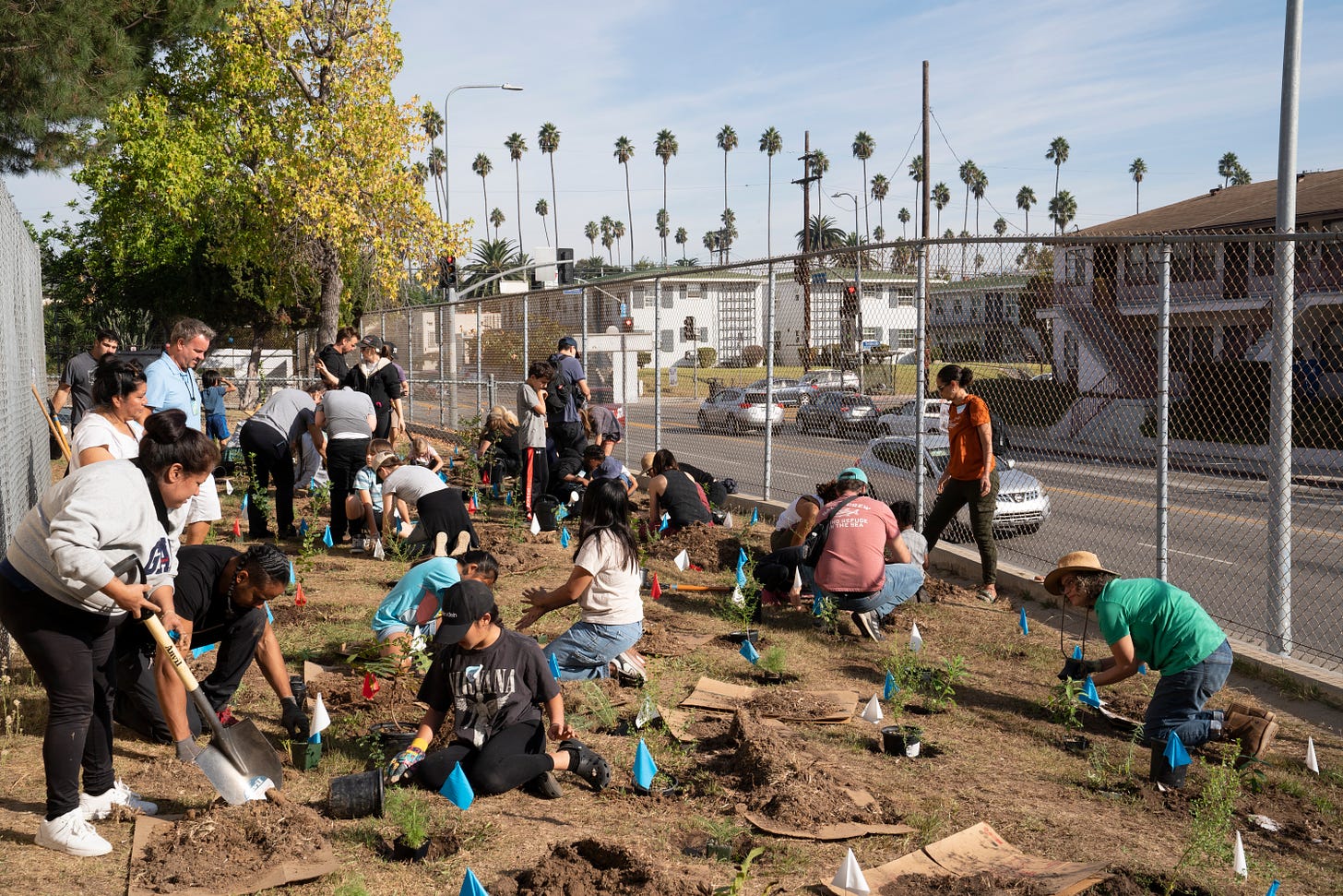 Mid-City’s Prescott School Forest in Los Angeles, USA. Courtesy of SUGi.