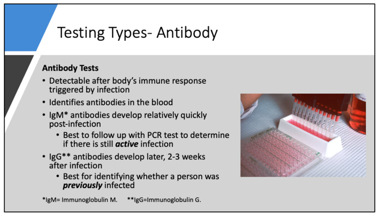 Training slide defining IgM and IgG antibodies in relation to COVID-19 infections