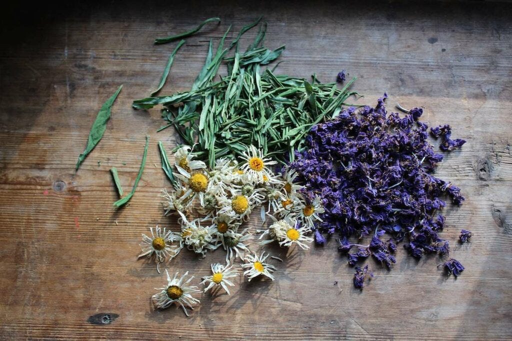 dried herbs on a table for a home apothecary