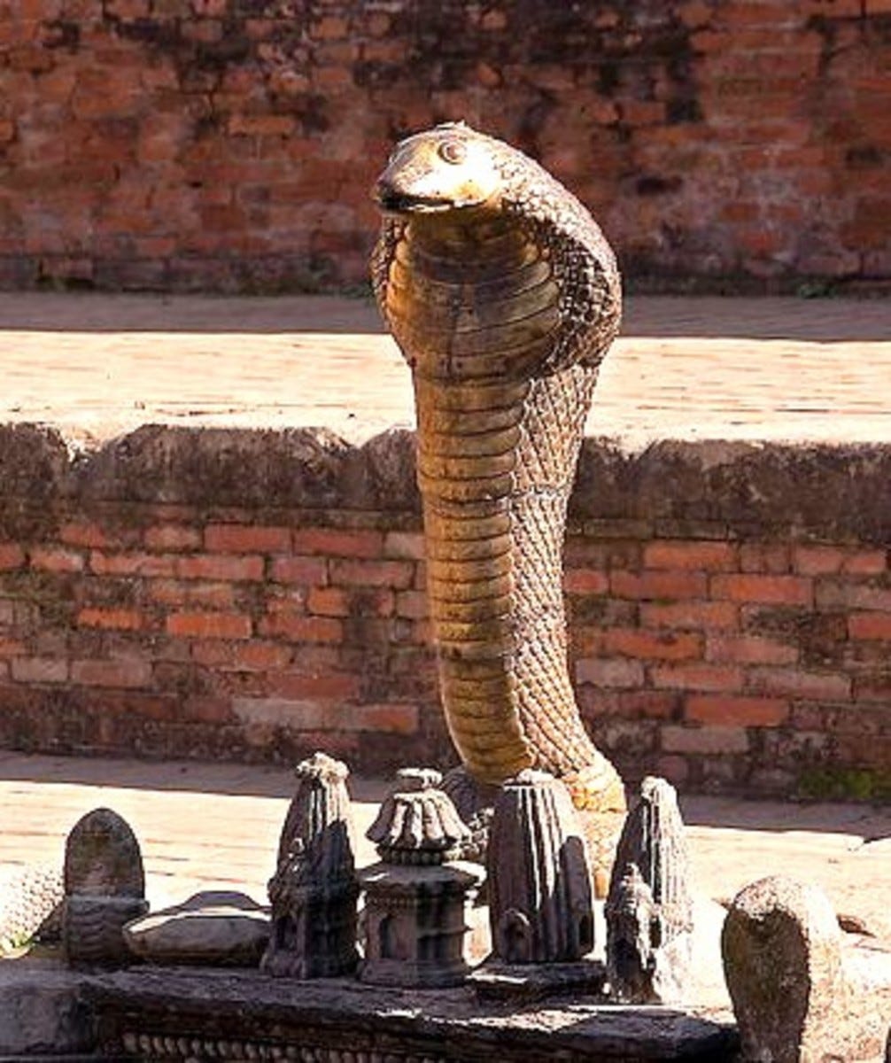 Nagas-Snake in Hindu Mythology | HubPages