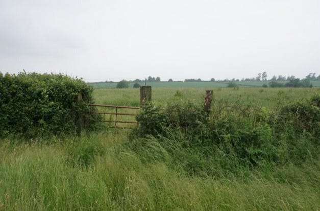 A fence almost invisible thanks to brambles is broken by a rusted gate. The fields either side are green with long grasses, not crops.
